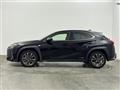2021 Lexus UX