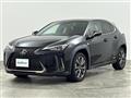 2021 Lexus UX
