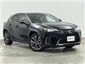 2021 Lexus UX