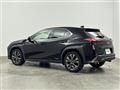 2021 Lexus UX