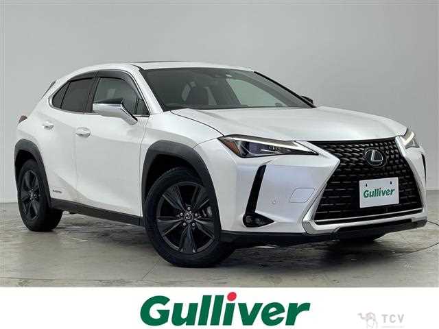 2019 Lexus UX