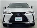2019 Lexus UX