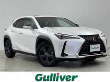 2019 Lexus UX