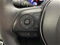 2019 Toyota Corolla Sports