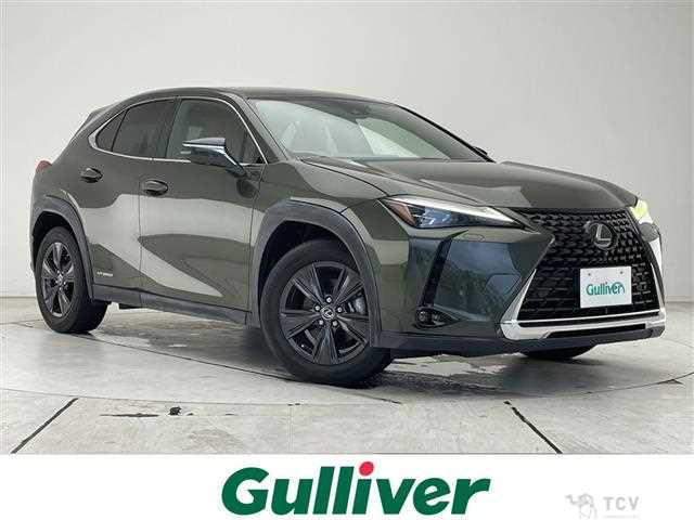 2019 Lexus UX