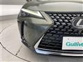 2019 Lexus UX