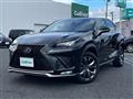2018 Lexus NX