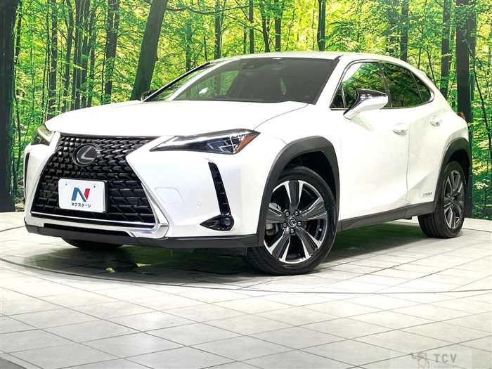 2019 Lexus Other