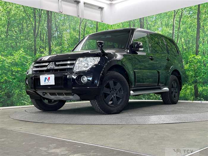 2008 Mitsubishi Pajero