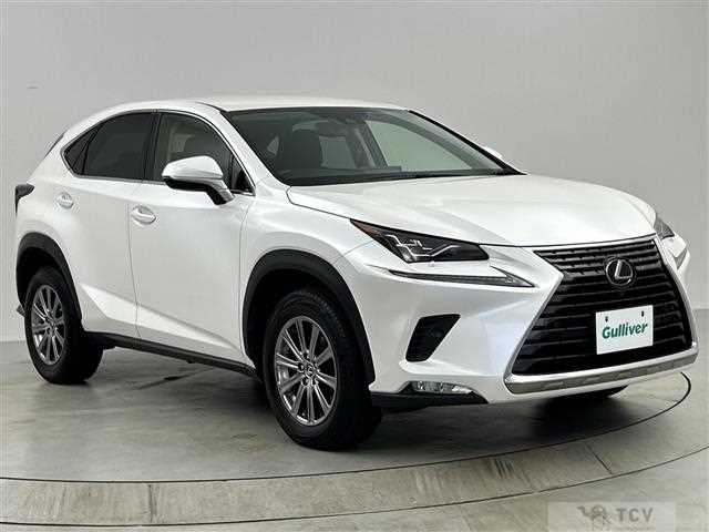 2019 Lexus NX