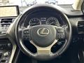 2019 Lexus NX