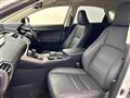 2019 Lexus NX