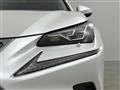 2019 Lexus NX
