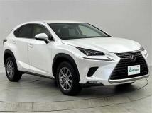 2019 Lexus NX