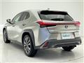 2019 Lexus UX