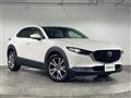 2019 Mazda CX-3