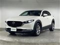 2019 Mazda CX-3