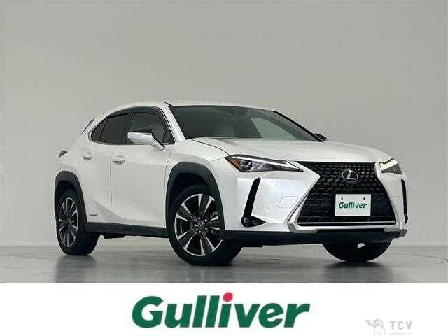 2021 Lexus UX