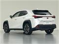 2021 Lexus UX