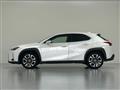 2021 Lexus UX