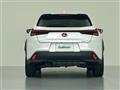 2021 Lexus UX
