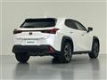 2021 Lexus UX
