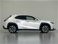 2021 Lexus UX