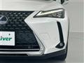 2021 Lexus UX