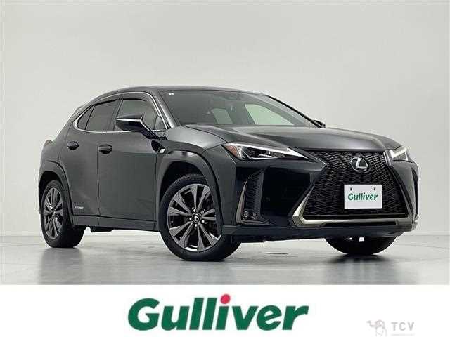 2021 Lexus UX