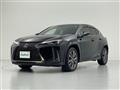 2021 Lexus UX