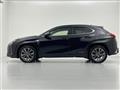 2021 Lexus UX