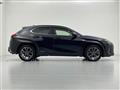 2021 Lexus UX