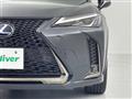 2021 Lexus UX
