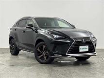 2021 Lexus NX