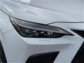 2022 Lexus NX