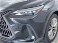 2023 Lexus NX