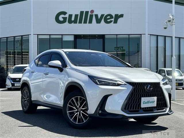 2022 Lexus NX