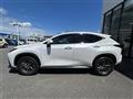 2022 Lexus NX