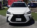 2022 Lexus NX