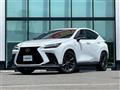 2021 Lexus NX