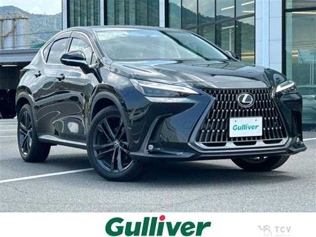 2023 Lexus NX