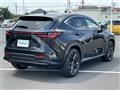 2023 Lexus NX