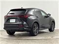 2022 Lexus NX