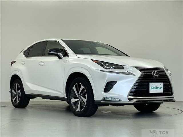 2021 Lexus NX