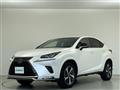 2021 Lexus NX
