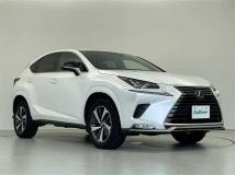 2021 Lexus NX