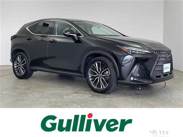 2023 Lexus NX