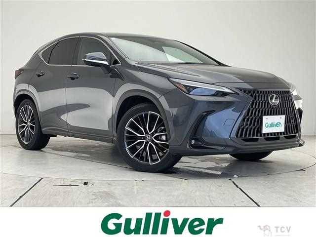 2024 Lexus NX