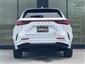 2021 Lexus NX