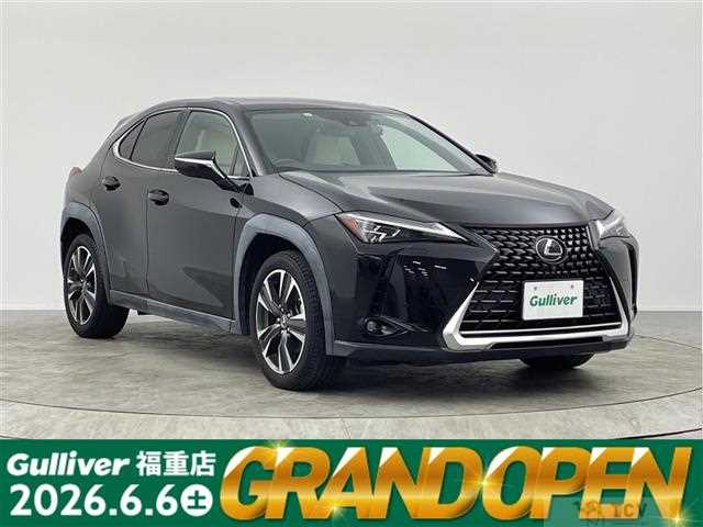 2018 Lexus UX